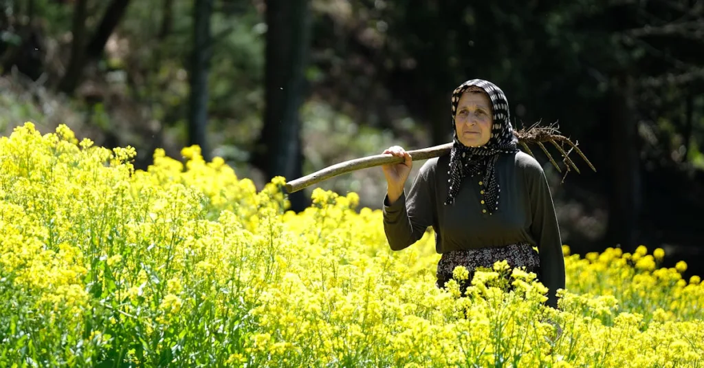 découvrez la recette classique du croque-monsieur, un sandwich chaud et gourmand à base de pain de mie, jambon et fromage fondu, parfait pour un repas rapide et savoureux.