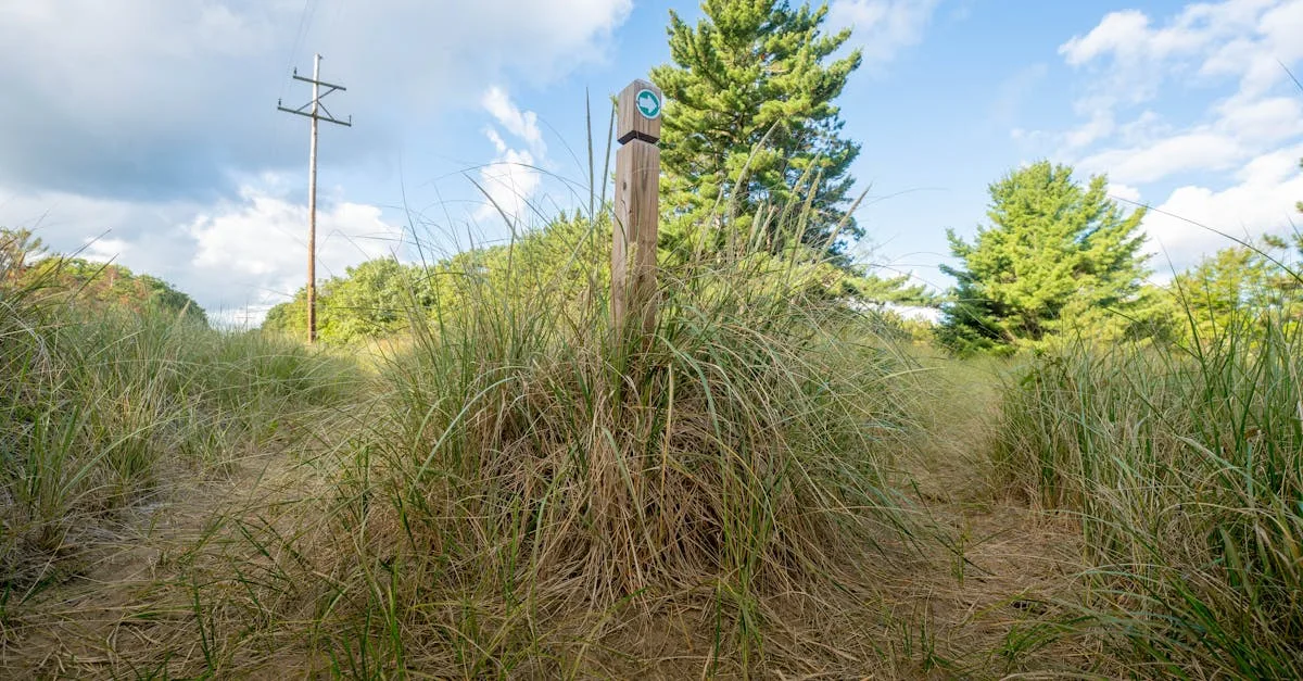découvrez notre guide de randonnée complet pour préparer vos aventures en plein air. trouvez des conseils, des itinéraires et des astuces pour profiter pleinement de la nature.