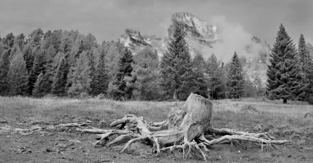 découvrez notre guide complet de randonnée pour explorer les sentiers, préparer vos excursions et profiter pleinement de la nature en toute sécurité.