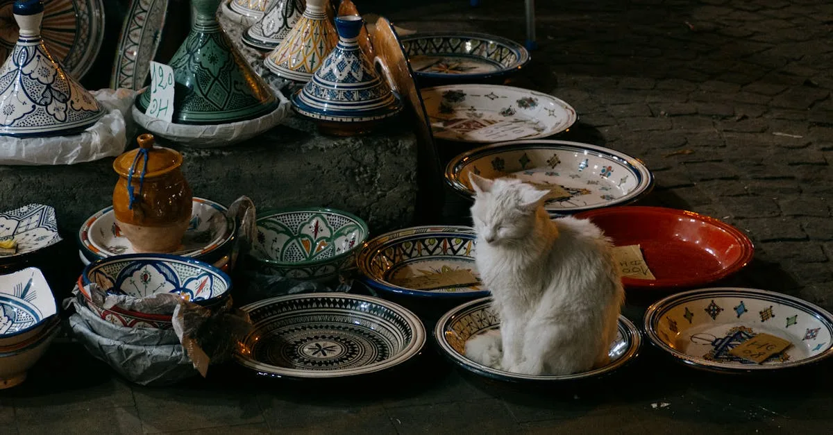 découvrez une recette authentique de tajine, un plat marocain savoureux mijoté avec des épices et des ingrédients frais, idéal pour un repas convivial et riche en saveurs.