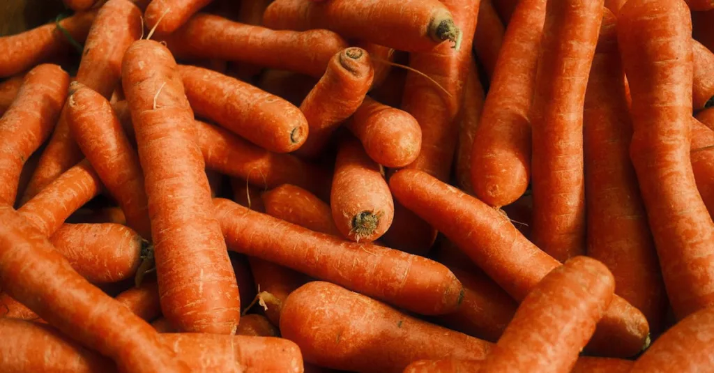 découvrez notre recette simple et savoureuse de purée de carottes, idéale pour accompagner vos plats ou comme base pour préparer des repas sains et gourmands.