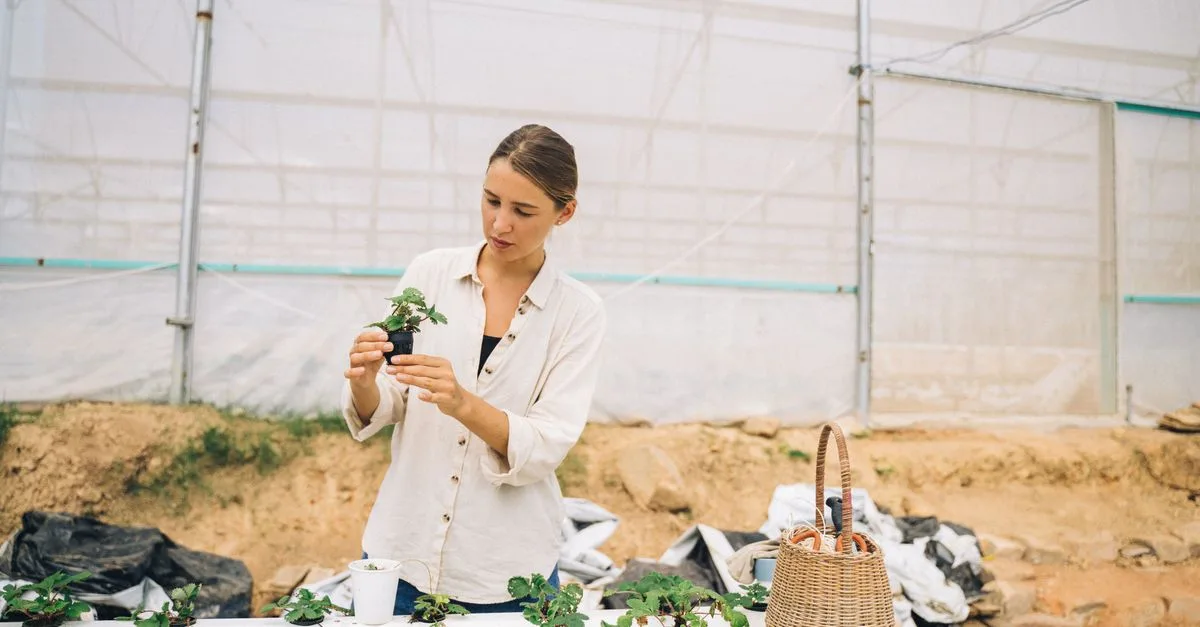 découvrez les pratiques d'agriculture durable qui préservent l'environnement, favorisent la biodiversité et assurent une production alimentaire responsable pour les générations futures.