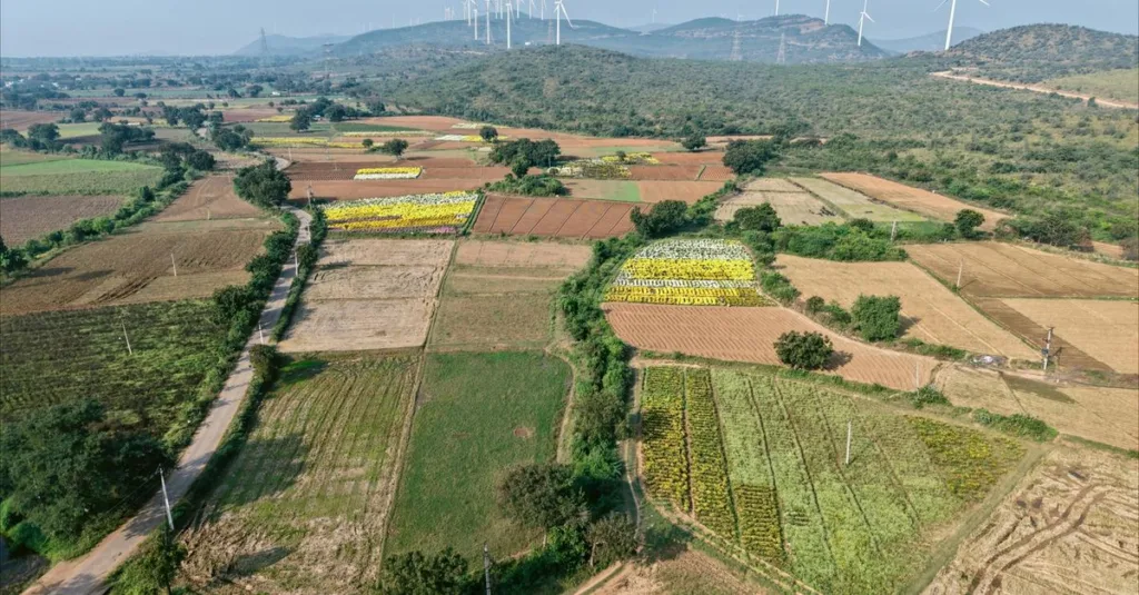 découvrez les pratiques d'agriculture durable pour préserver l'environnement, optimiser les ressources naturelles et garantir une production alimentaire responsable et éthique.